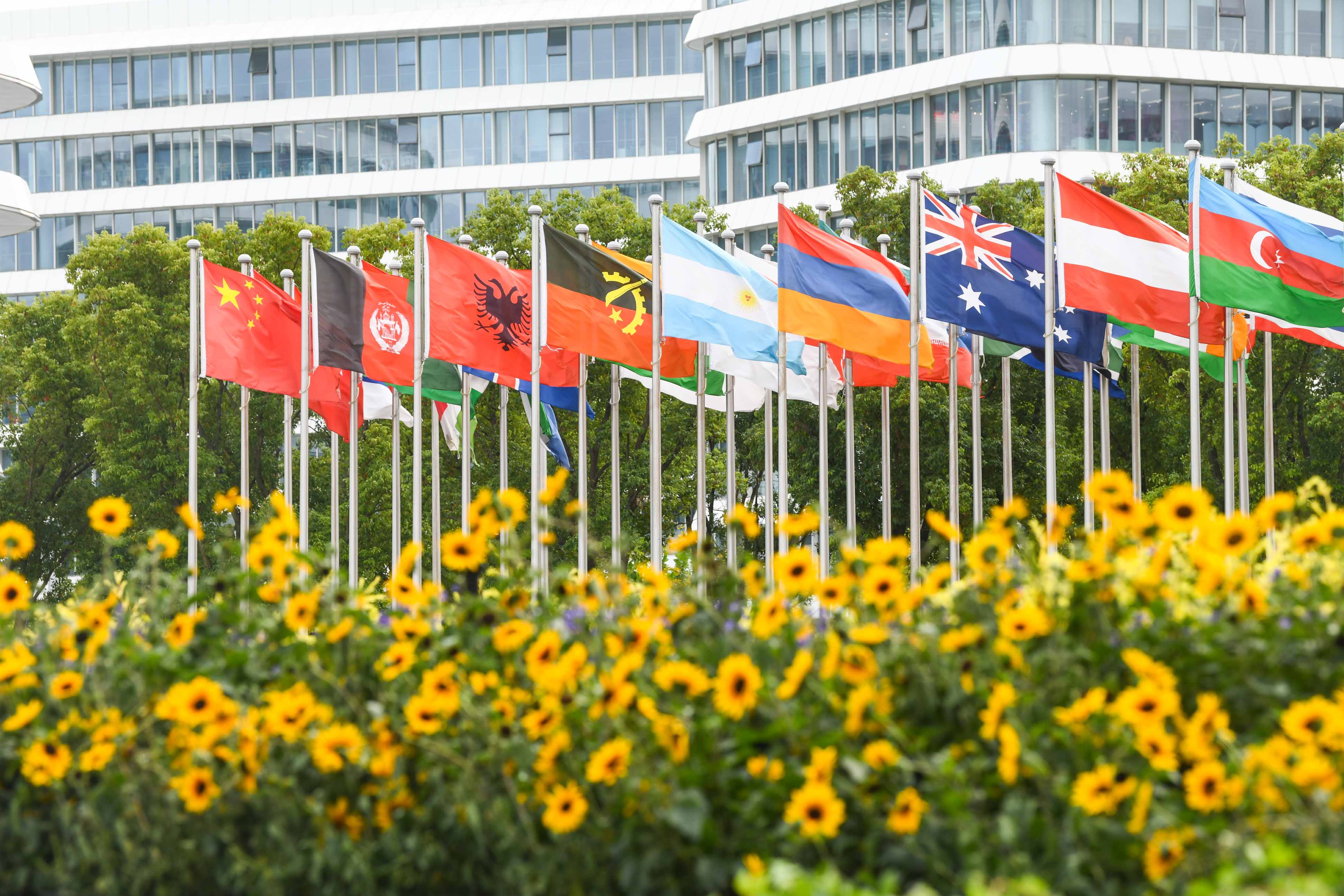 各国国旗迎风飘扬